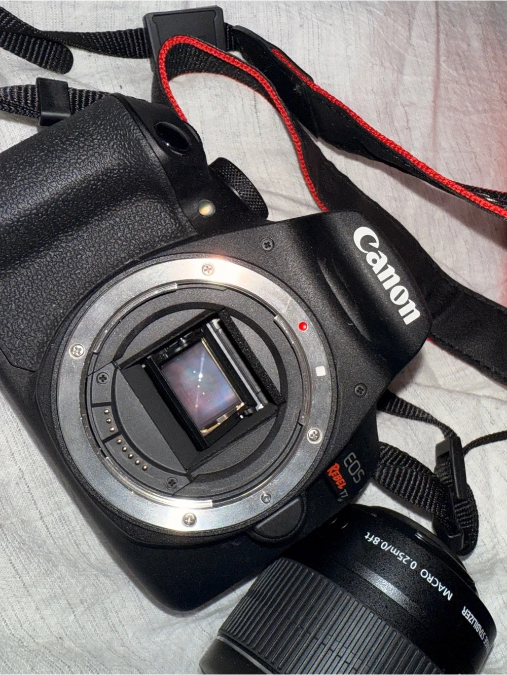Canon DSLR Camera in Black with Red Strap Accent